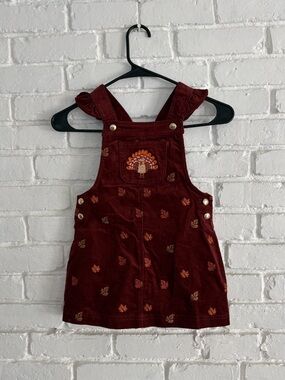 Girls 4t thanksgiving turkey overalls brand new
